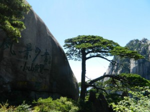 苏州、杭州、普陀山、黄山纯玩六日游